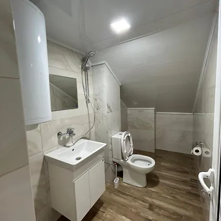 лоринна * تريفنا